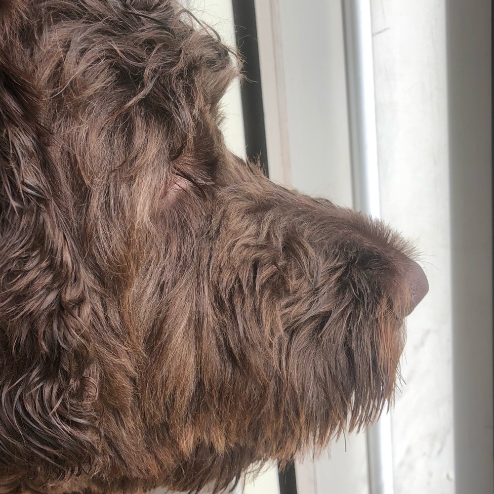 Meet your Posher, Kelly